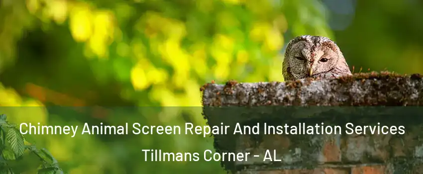  Chimney Animal Screen Repair And Installation Services Tillmans Corner - AL
