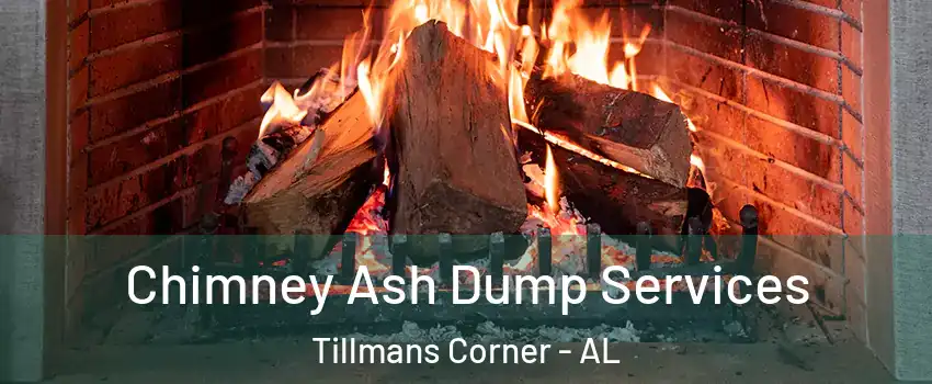  Chimney Ash Dump Services Tillmans Corner - AL