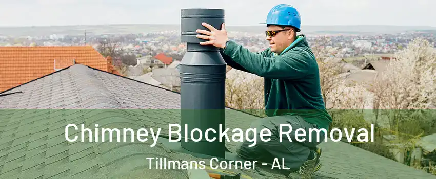 Chimney Blockage Removal Tillmans Corner - AL