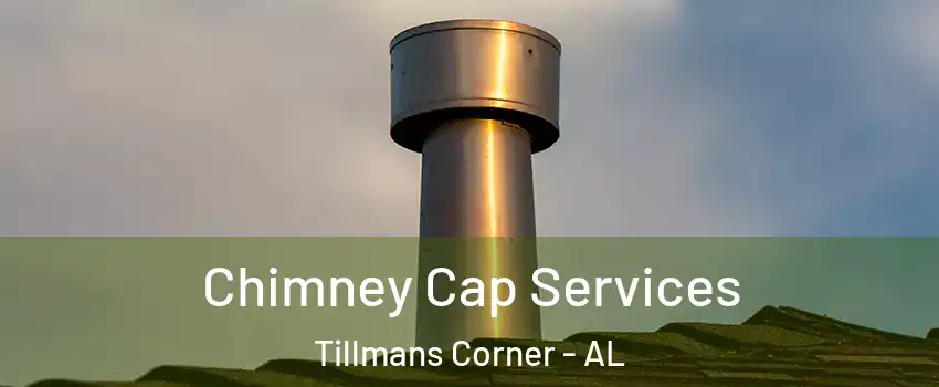  Chimney Cap Services Tillmans Corner - AL