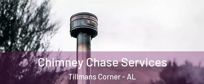  Chimney Chase Services Tillmans Corner - AL