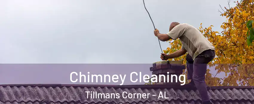  Chimney Cleaning Tillmans Corner - AL