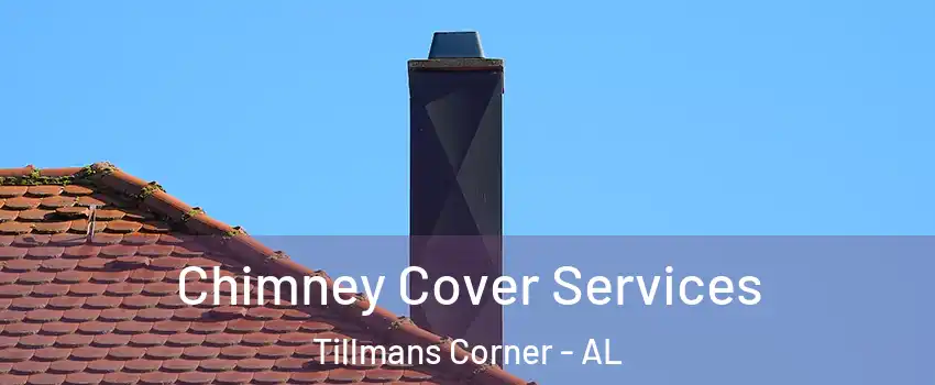  Chimney Cover Services Tillmans Corner - AL