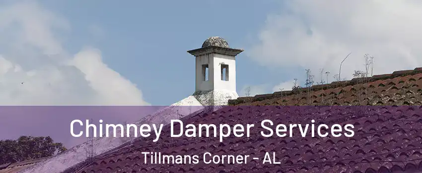 Chimney Damper Services Tillmans Corner - AL