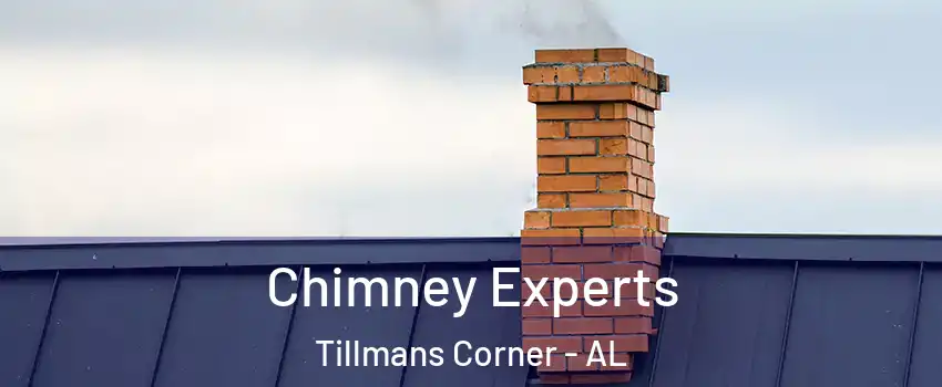  Chimney Experts Tillmans Corner - AL