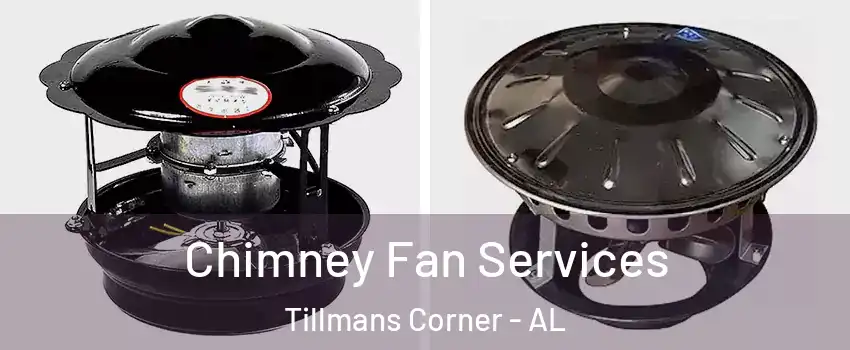 Chimney Fan Services Tillmans Corner - AL