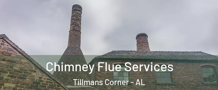  Chimney Flue Services Tillmans Corner - AL