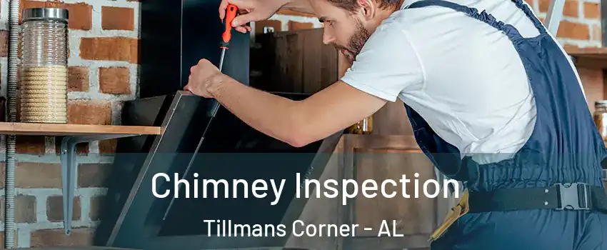  Chimney Inspection Tillmans Corner - AL