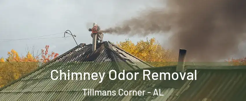 Chimney Odor Removal Tillmans Corner - AL