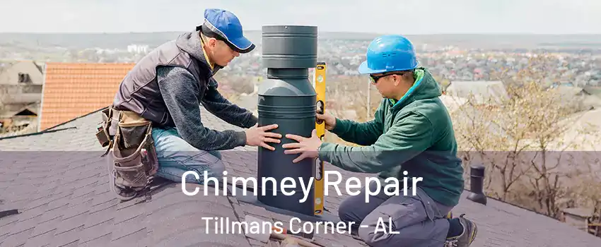  Chimney Repair Tillmans Corner - AL