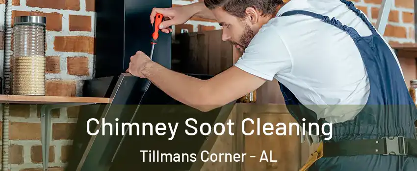 Chimney Soot Cleaning Tillmans Corner - AL