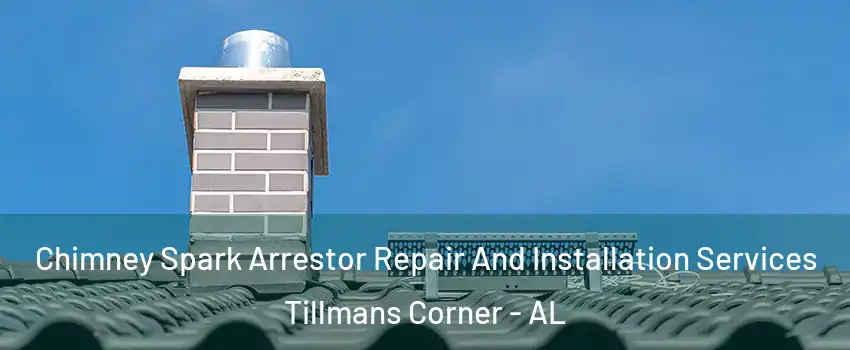 Chimney Spark Arrestor Repair And Installation Services Tillmans Corner - AL