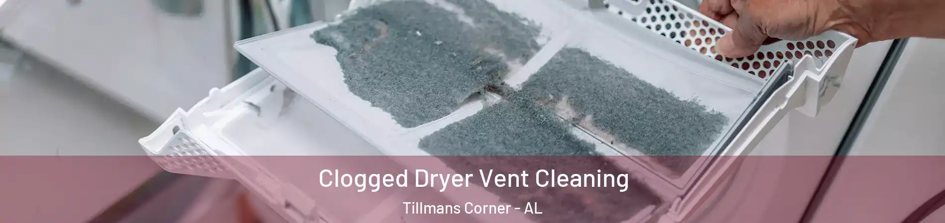  Clogged Dryer Vent Cleaning Tillmans Corner - AL