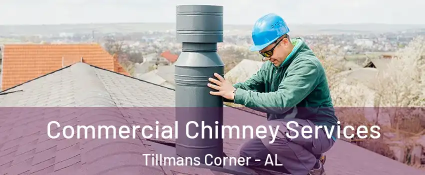  Commercial Chimney Services Tillmans Corner - AL