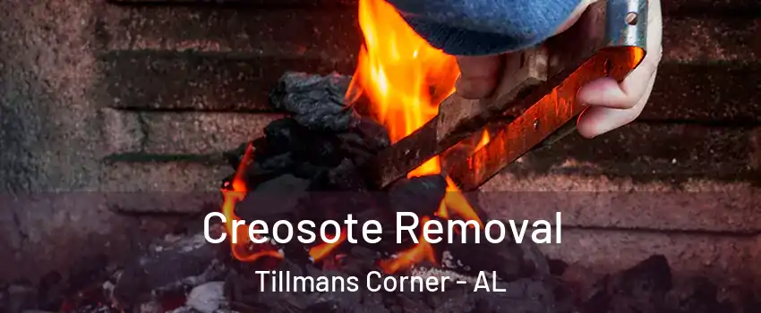 Creosote Removal Tillmans Corner - AL