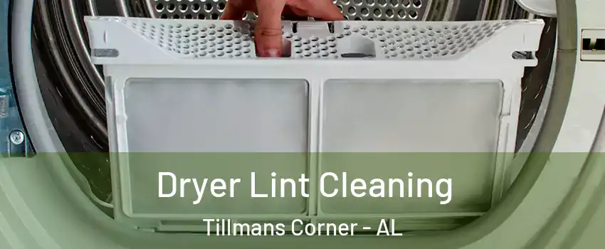Dryer Lint Cleaning Tillmans Corner - AL