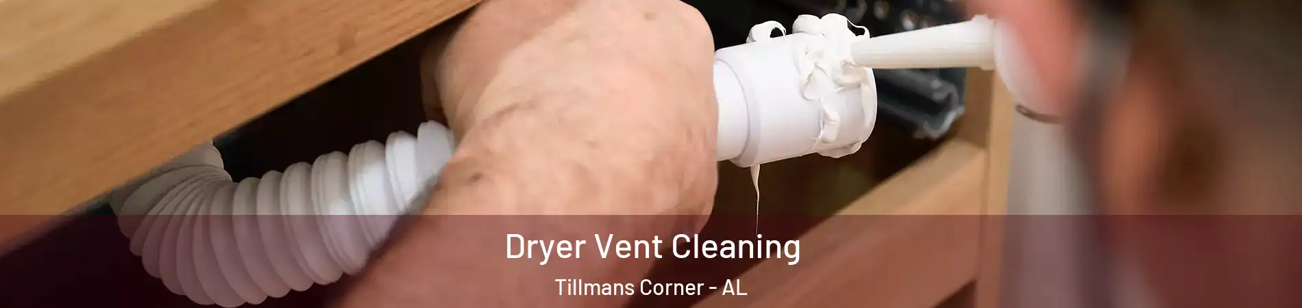  Dryer Vent Cleaning Tillmans Corner - AL
