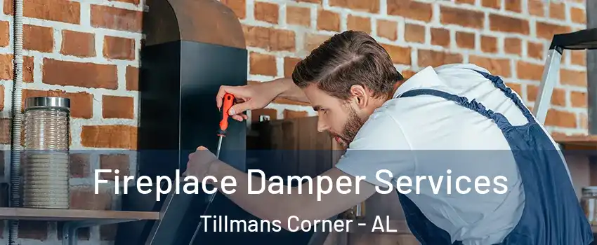  Fireplace Damper Services Tillmans Corner - AL
