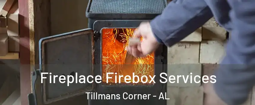  Fireplace Firebox Services Tillmans Corner - AL