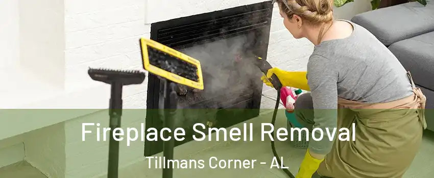  Fireplace Smell Removal Tillmans Corner - AL