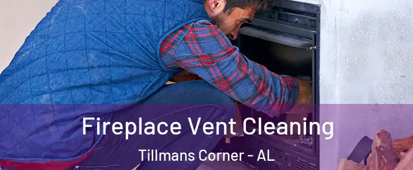  Fireplace Vent Cleaning Tillmans Corner - AL
