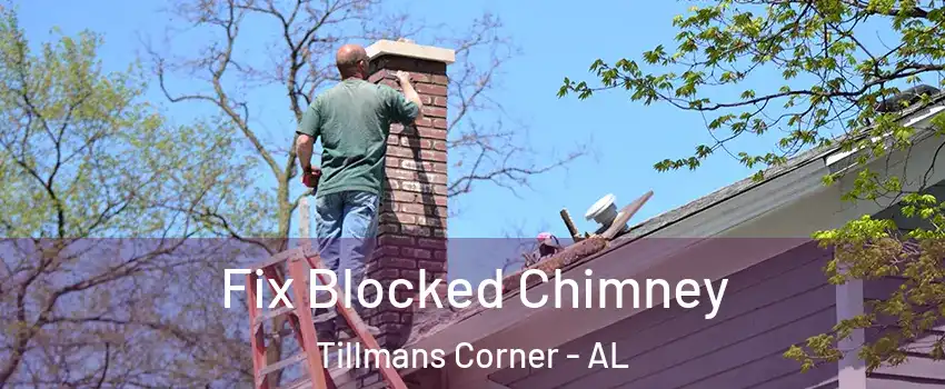  Fix Blocked Chimney Tillmans Corner - AL