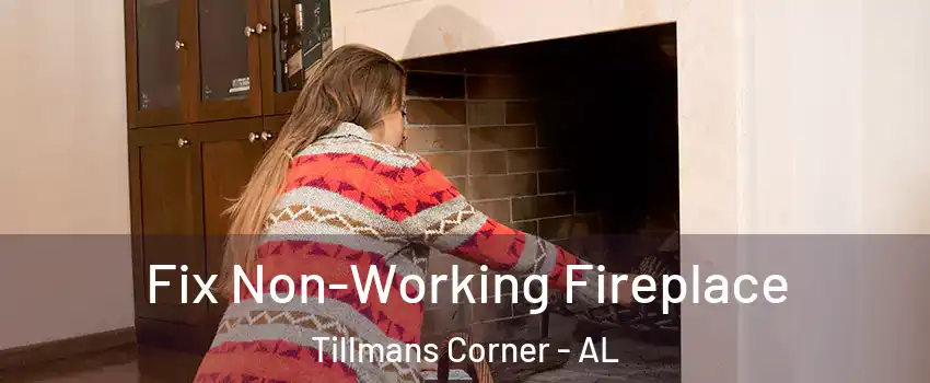  Fix Non-Working Fireplace Tillmans Corner - AL