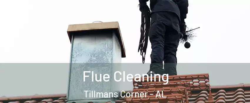  Flue Cleaning Tillmans Corner - AL