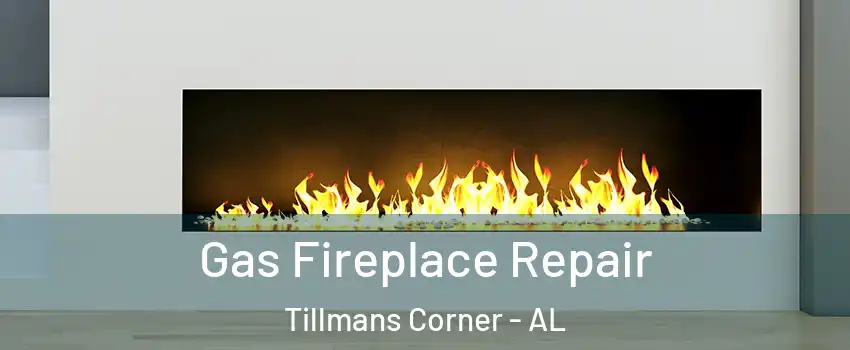  Gas Fireplace Repair Tillmans Corner - AL