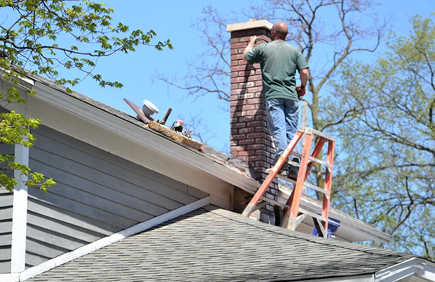 Chimney & Fireplace Inspections Services in Tillmans Corner, AL