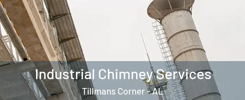  Industrial Chimney Services Tillmans Corner - AL