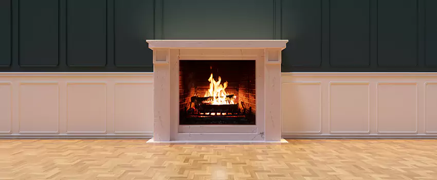 Napoleon Electric Fireplaces Inspection Service in Tillmans Corner, Alabama