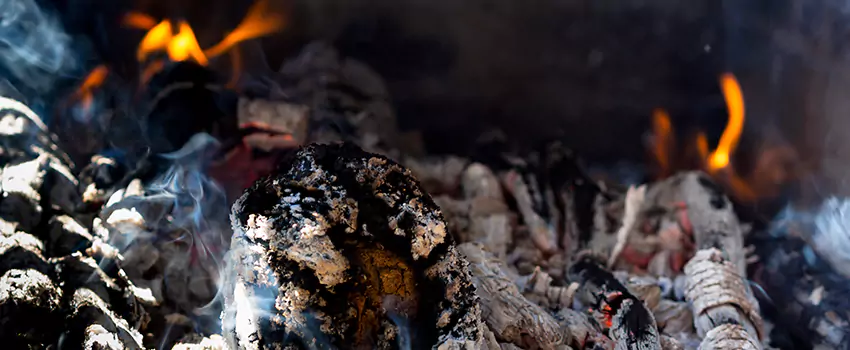 Creosote Removal Experts in Tillmans Corner, AL