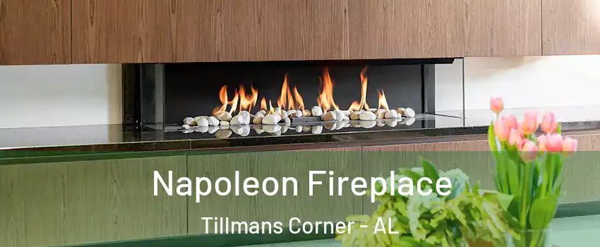 Napoleon Fireplace Tillmans Corner - AL