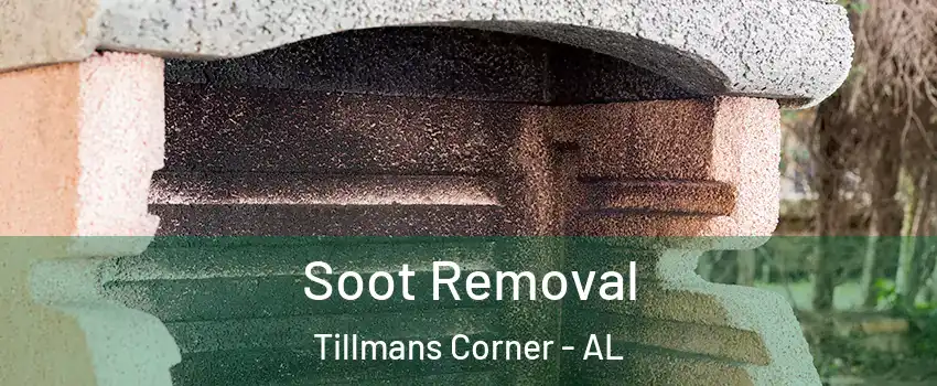 Soot Removal Tillmans Corner - AL