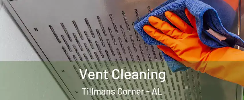  Vent Cleaning Tillmans Corner - AL