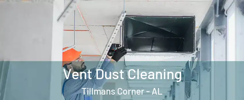  Vent Dust Cleaning Tillmans Corner - AL