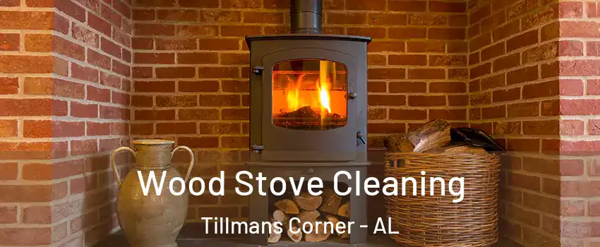  Wood Stove Cleaning Tillmans Corner - AL